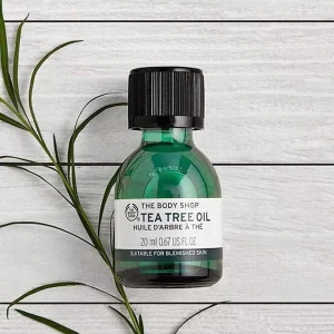 تصویر روغن صورت بادی شاپ مدل درخت چای تی تری حجم ۲۰ میلی لیتر در لیورا