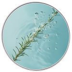 تصویر شامپو فیتوسیان (Phytocyane) در لیورا